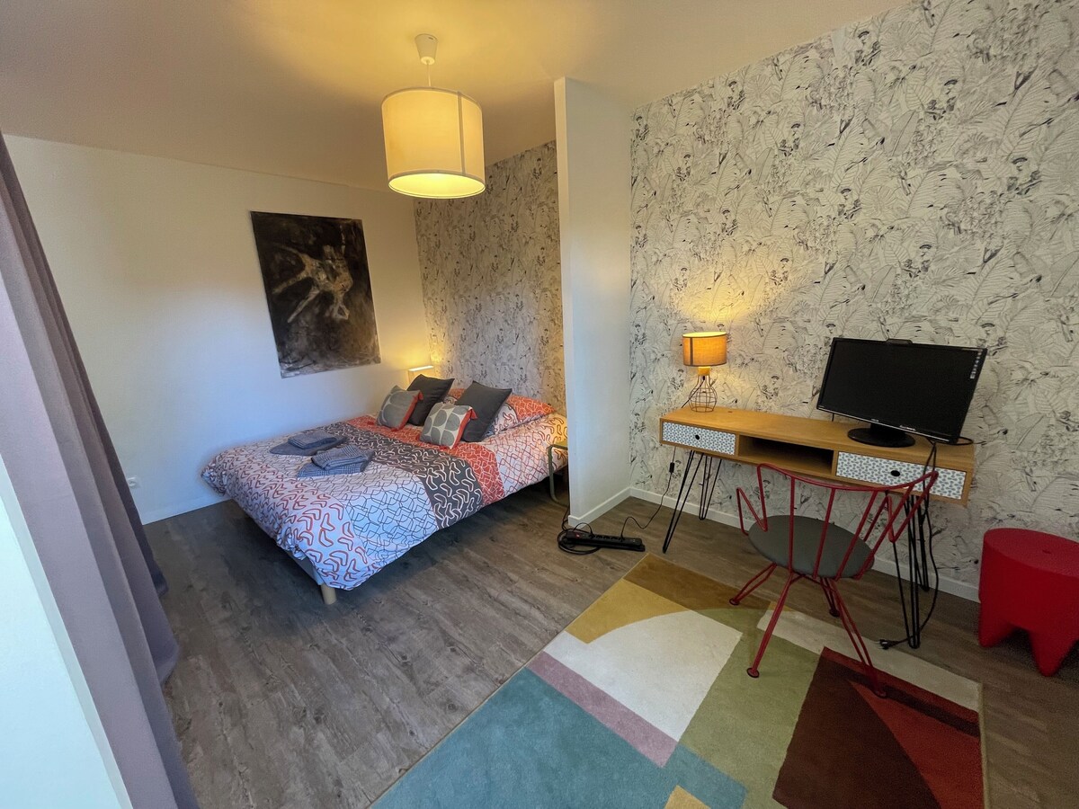 Chambre avec lit double, papier peint fleuri, bureau avec télévision et tapis coloré — La Maison des Coccinelles